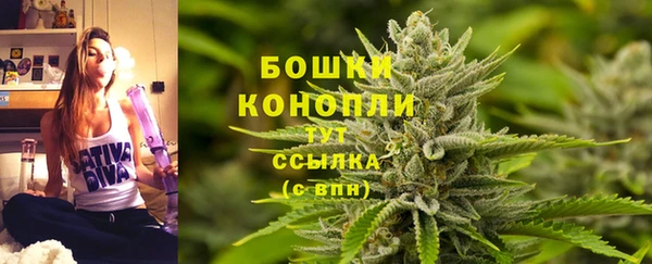 дмт Киреевск
