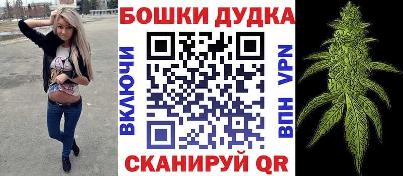 Конопля план  Сольцы 